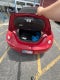 2008 Volkswagen Beetle SE Black Tie Edition